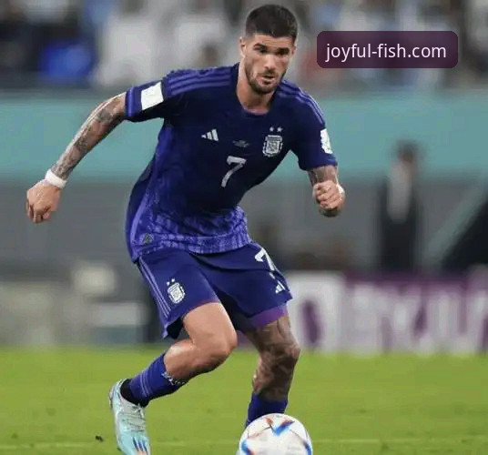 阿根廷5-0战术演练深度评测：从乐鱼体育官方平台视角解析卫冕冠军的进攻效率